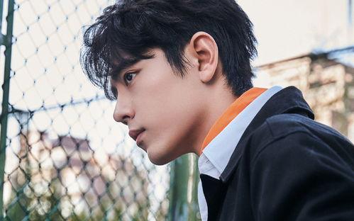 爆料肖战八卦图最新,揭秘明星私生活背后的真相