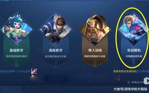 王者传说爆料最新,神秘新英雄觉醒，战局风云再起！